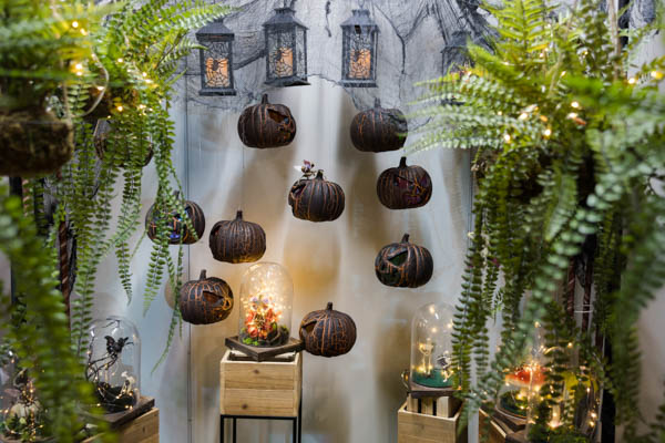 Halloween-somistuskokonaisuus missä roikkuvia kurpitsoja, lasisia kupoliastioita joihin on somistettu sisälle valoja ja pieniä luurankojen maailmoja sekä tekoviherkasveja ja muita somisteita